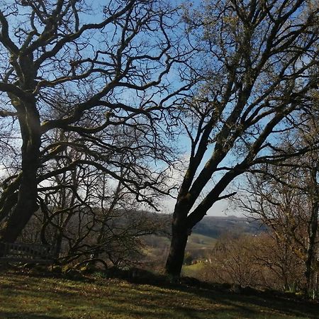 Gite Le Pigonnier Ecogite Le Luquet Saint Beauzeil 82150 Eksteriør bilde