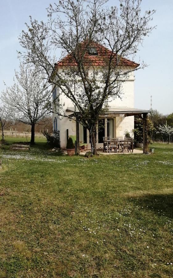 Gite Le Pigonnier Ecogite Le Luquet Saint Beauzeil 82150 Eksteriør bilde